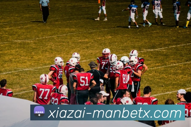 App Interface Preview